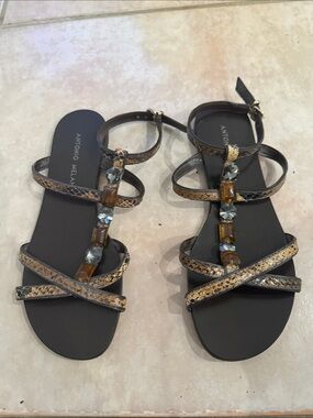 ANTONIO MELANI Black Sandals Brown Snake-Print Straps and Jeweled size 6 @@@@@